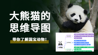 大熊猫的思维导图，带你了解国宝动物！
