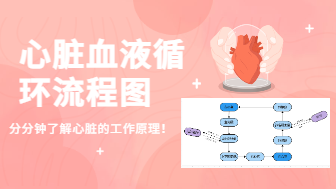 心脏的血液循环流程图，分分钟了解心脏的工作原理！